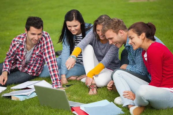 Fünf Studenten sitzen im Gras und zeigen auf Laptop — Stockfoto