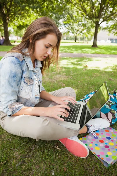 Estudiante bastante centrado sentado en la hierba usando portátil — Foto de Stock