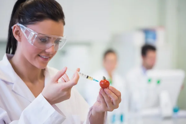 Pesquisador científico injetando tomate no laboratório — Fotografia de Stock