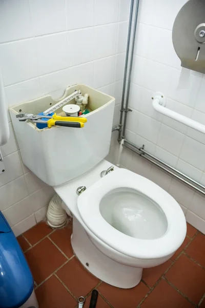 Zbliżenie szczypce leżącego na otwarte WC — Zdjęcie stockowe