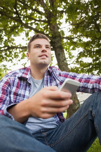 Schöner glücklicher Student, der auf Gras sitzt und SMS schreibt — Stockfoto