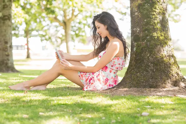Стильная привлекательная брюнетка сидит под деревом с помощью планшета — стоковое фото