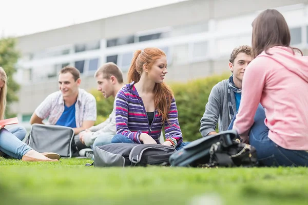 Студенты колледжа сидят в парке — стоковое фото