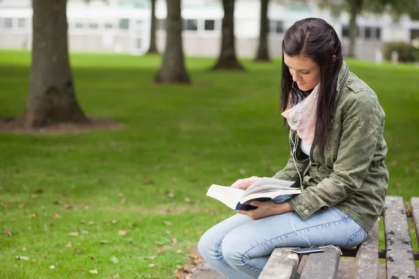 Fokussierte brünette studentin sitzen auf bank reading — Stockfoto