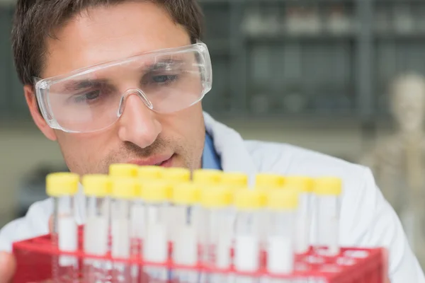 Male researcher looking at test tubes in the lab — Stock Photo, Image