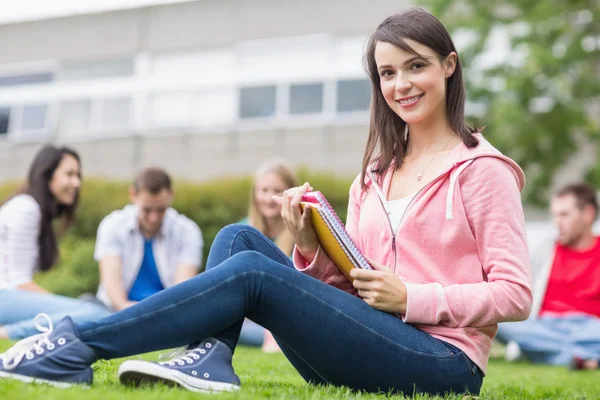 Sonriente estudiante universitario con amigos borrosos sentados en el parque — Foto de Stock