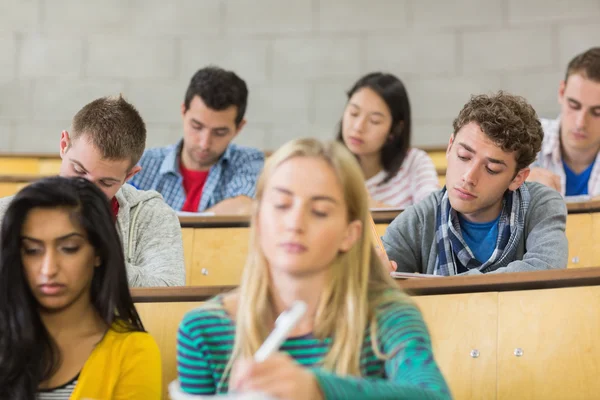 Concentrating students sitting at lecture hall Royalty Free Stock Images