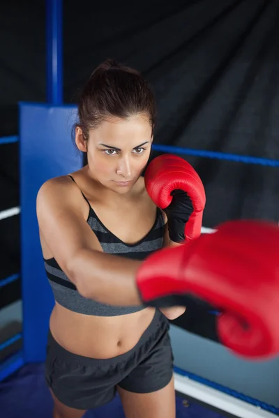 Determinada jovem mulher em luvas de boxe vermelho — Fotografia de Stock
