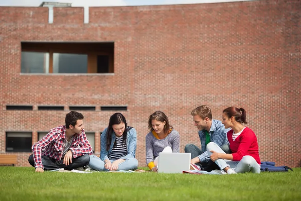 Vijf casual studenten zittend op het gras met behulp van laptop — Stockfoto