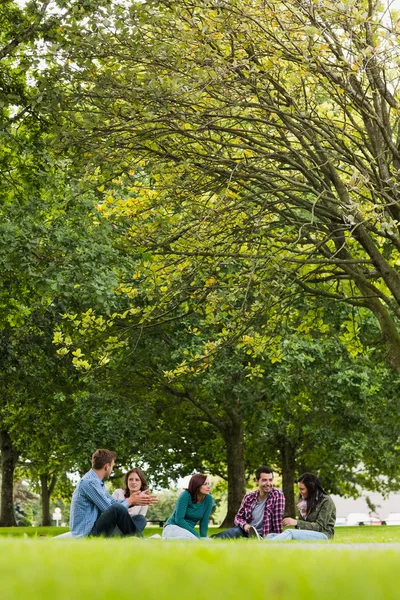 Estudiantes universitarios sentados en el césped en el parque — Foto de Stock