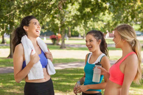 Trois jolis amis sportifs bavardant — Photo