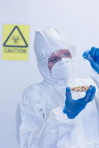 Cientista em traje protetor com brotos em laboratório — Fotografia de Stock