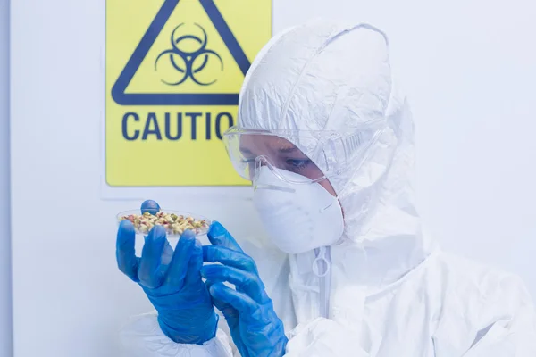 Scientist in protective suit with sprouts in laboratory — Stock Photo, Image