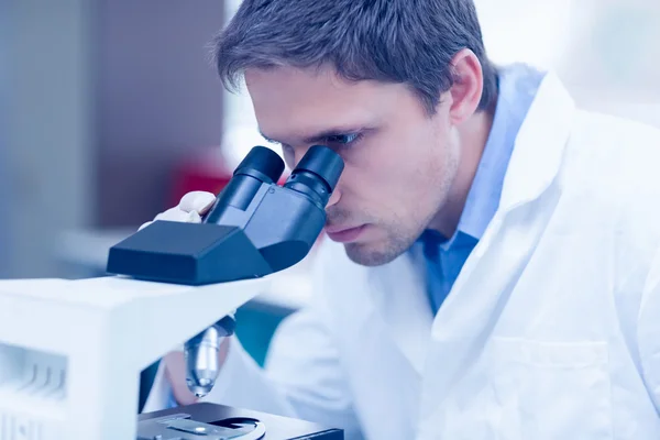 科研人员在实验室里用显微镜 — 图库照片