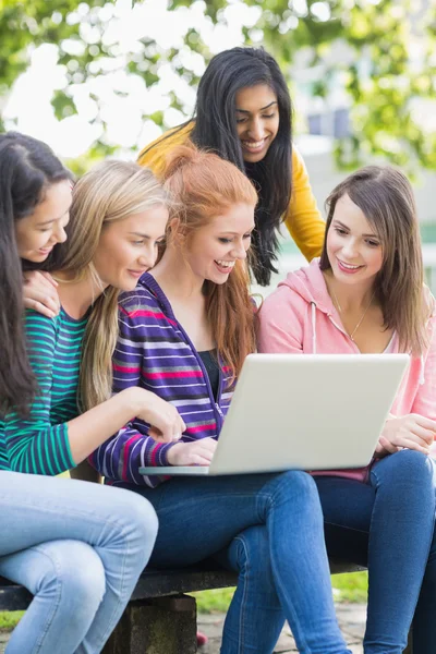 Unga collegeflickor använder laptop i park — Stockfoto