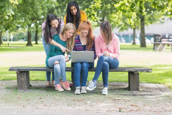 Девушки из колледжа используют ноутбук в парке — стоковое фото