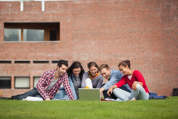 Vijf casual studenten zittend op het gras wijzend op laptop — Stockfoto