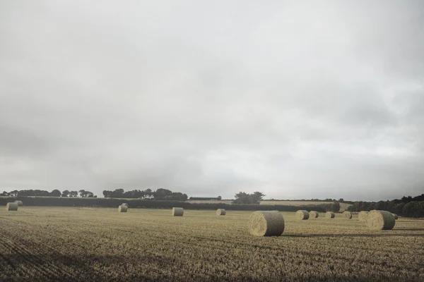 Landscape with bales of straw — Stock Photo, Image