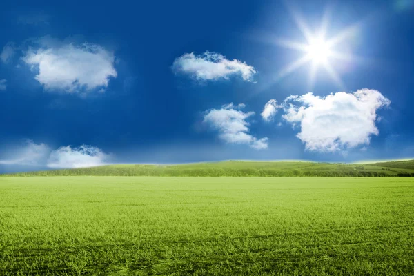 Sunny zelené krajině — Stock fotografie