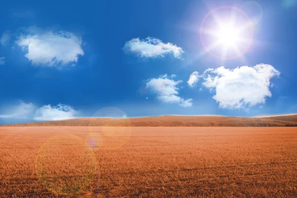 Солнечно-коричневый пейзаж — стоковое фото