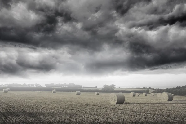 藁の俵と霧の風景 — ストック写真