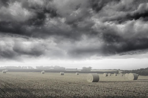 Paesaggio nebbioso con balle di paglia — Foto Stock