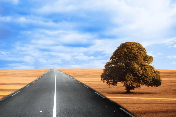 Cloudy brown landscape with street — Stock Photo, Image