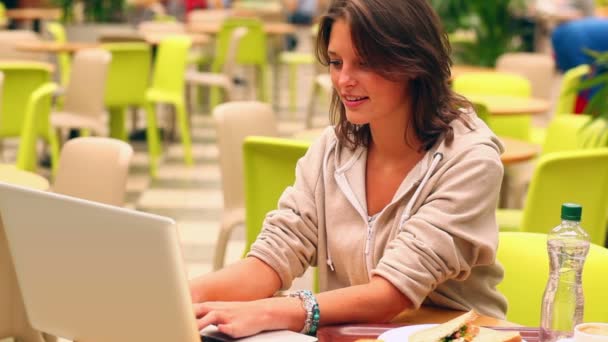 Brunette student studying and drinking water in canteen — Stock Video