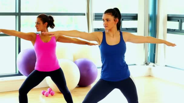 Hermosas mujeres delgadas haciendo yoga — Vídeos de Stock