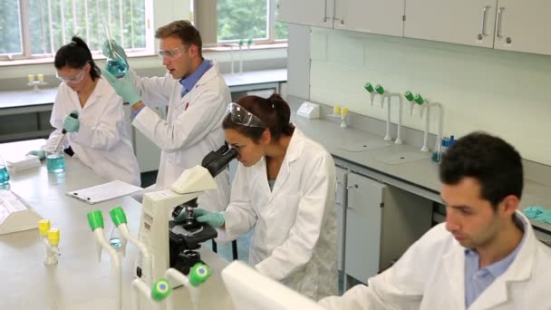 Equipe de estudantes de ciências focados trabalhando juntos no laboratório — Vídeo de Stock