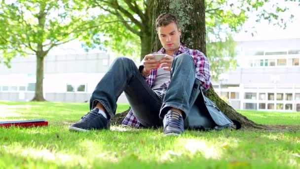 Junge Studentin sitzt auf dem Gras und schreibt SMS — Stockvideo