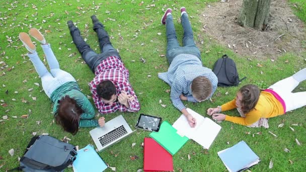 Studenten lernen gemeinsam auf dem Rasen — Stockvideo