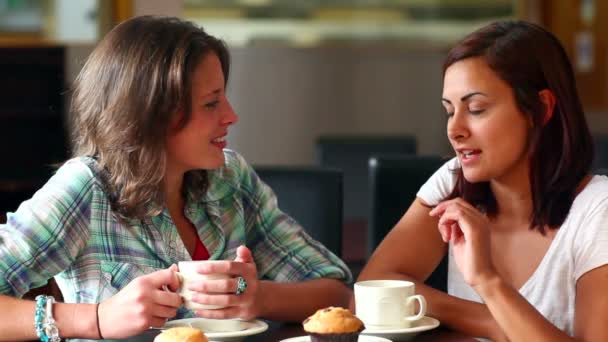 Two students chatting together in the canteen — Stock Video