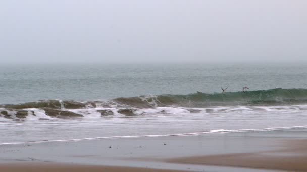 Olas chocando en la playa — Vídeos de Stock