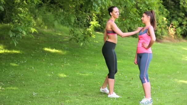 Ajuste amigos esticando antes de sua corrida — Vídeo de Stock