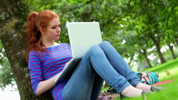 Student siedząc przed drzewa za pomocą swojego laptopa — Stockvideo