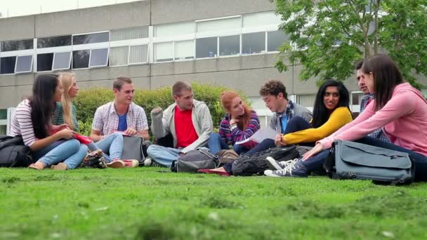 Studenten zittend op het gras samen praten — Stockvideo