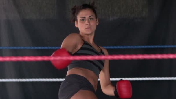 Sporty determined brunette kick boxing — Stock Video