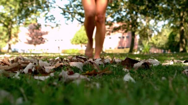 Weibliche Füße, die auf Blättern gehen — Stockvideo