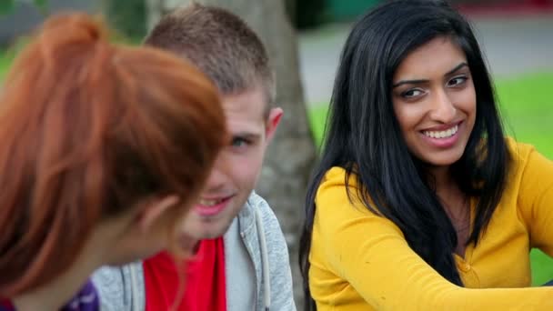 Students having a chat on the grass — Stock Video