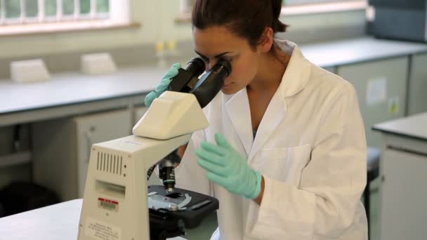 Estudiante de ciencias mirando a través del microscopio en el laboratorio — Vídeos de Stock