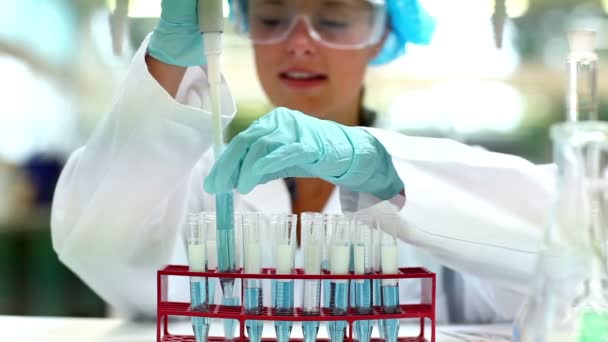 Pretty science student using pipette to fill test tubes — Stock Video