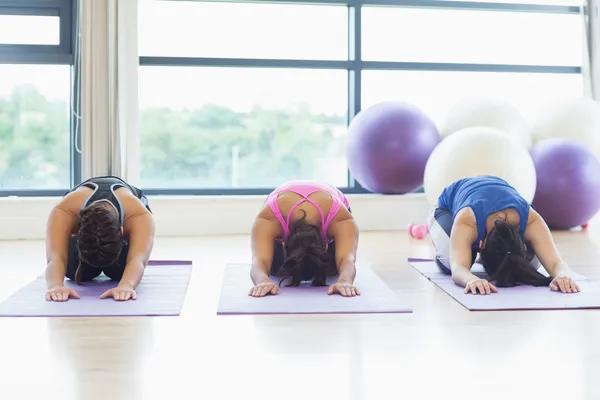 Mulheres aptas a dobrar-se sobre esteiras de exercício no estúdio de fitness — Fotografia de Stock