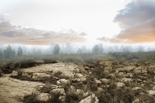 Paesaggio sereno — Foto Stock