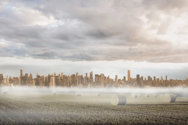 Grande cidade no horizonte — Fotografia de Stock