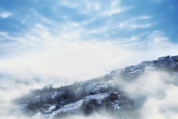 Nebelige Landschaft — Stockfoto