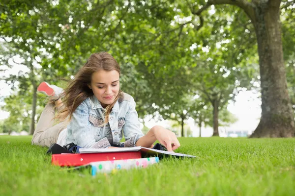 Glücklicher Student, der im Gras liegt und studiert — Stockfoto