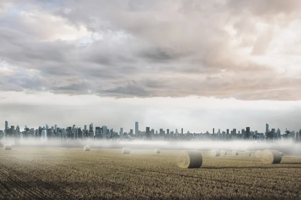 Stor stad vid horisonten — Stockfoto