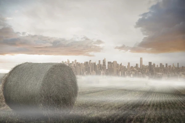 Grote stad aan de horizon — Stockfoto