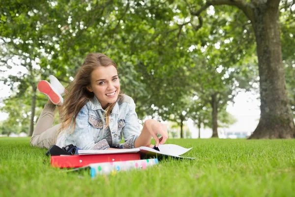 Feliz joven estudiante acostado en la hierba estudiando —  Fotos de Stock